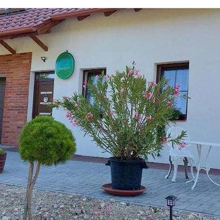 Patak Vendeghaz Hotel Zalaegerszeg Eksteriør billede